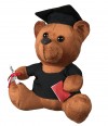 Cap Basic with academic bear
